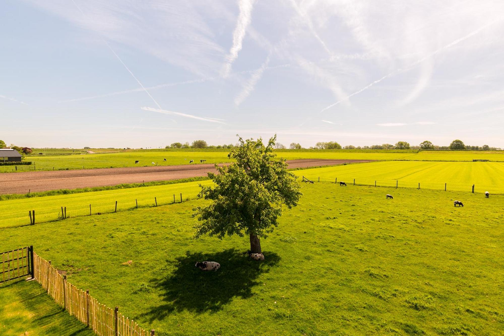 Bed and Breakfast Boerderij De Zalm Schalkwijk Екстер'єр фото